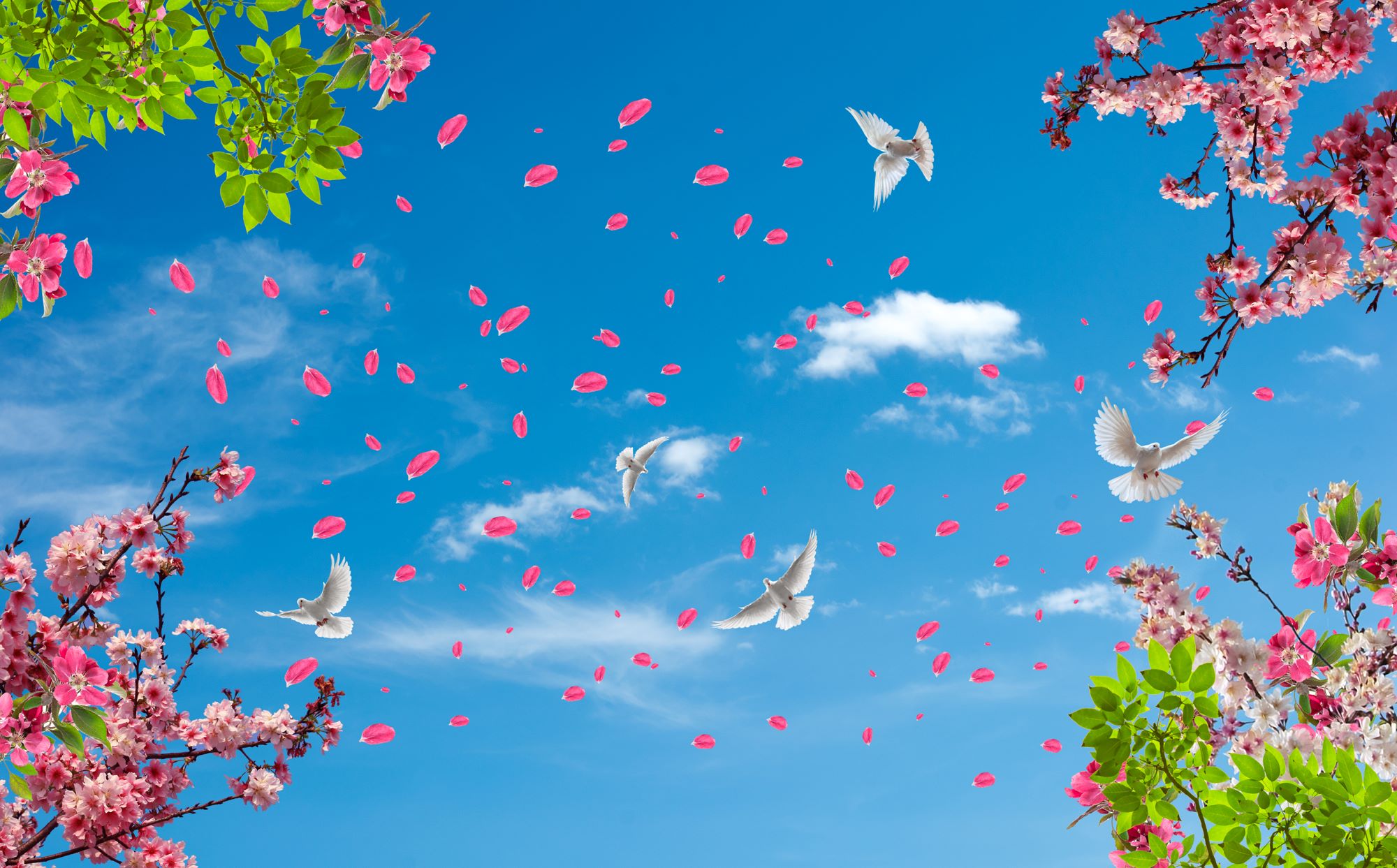 Flying Doves and Falling Petals Sky