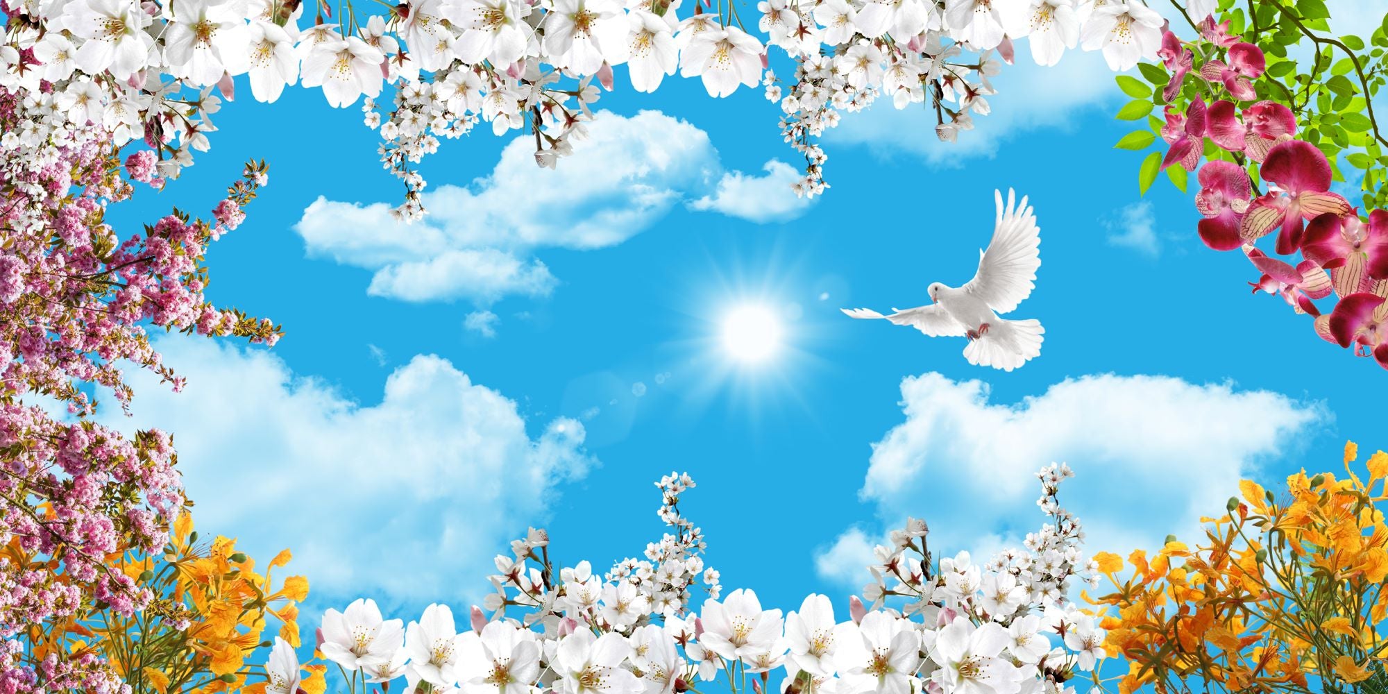 Blossom Sky with Flying White Dove