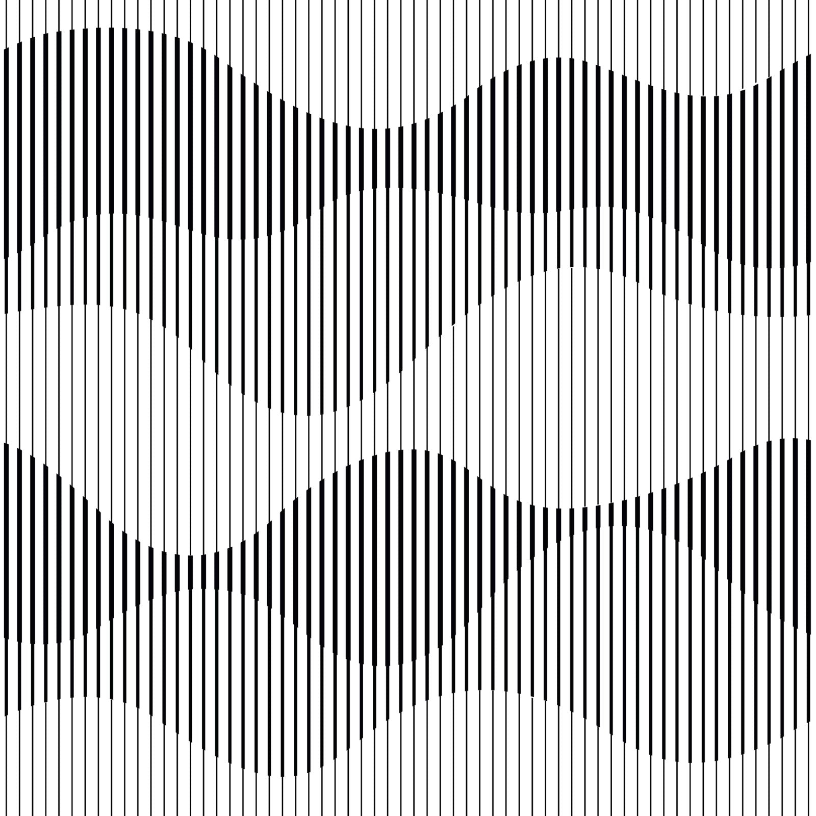 Abstract Black and White Illusion