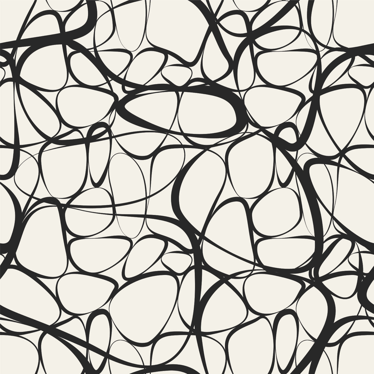 Abstract Black and White Web Line Pattern Design