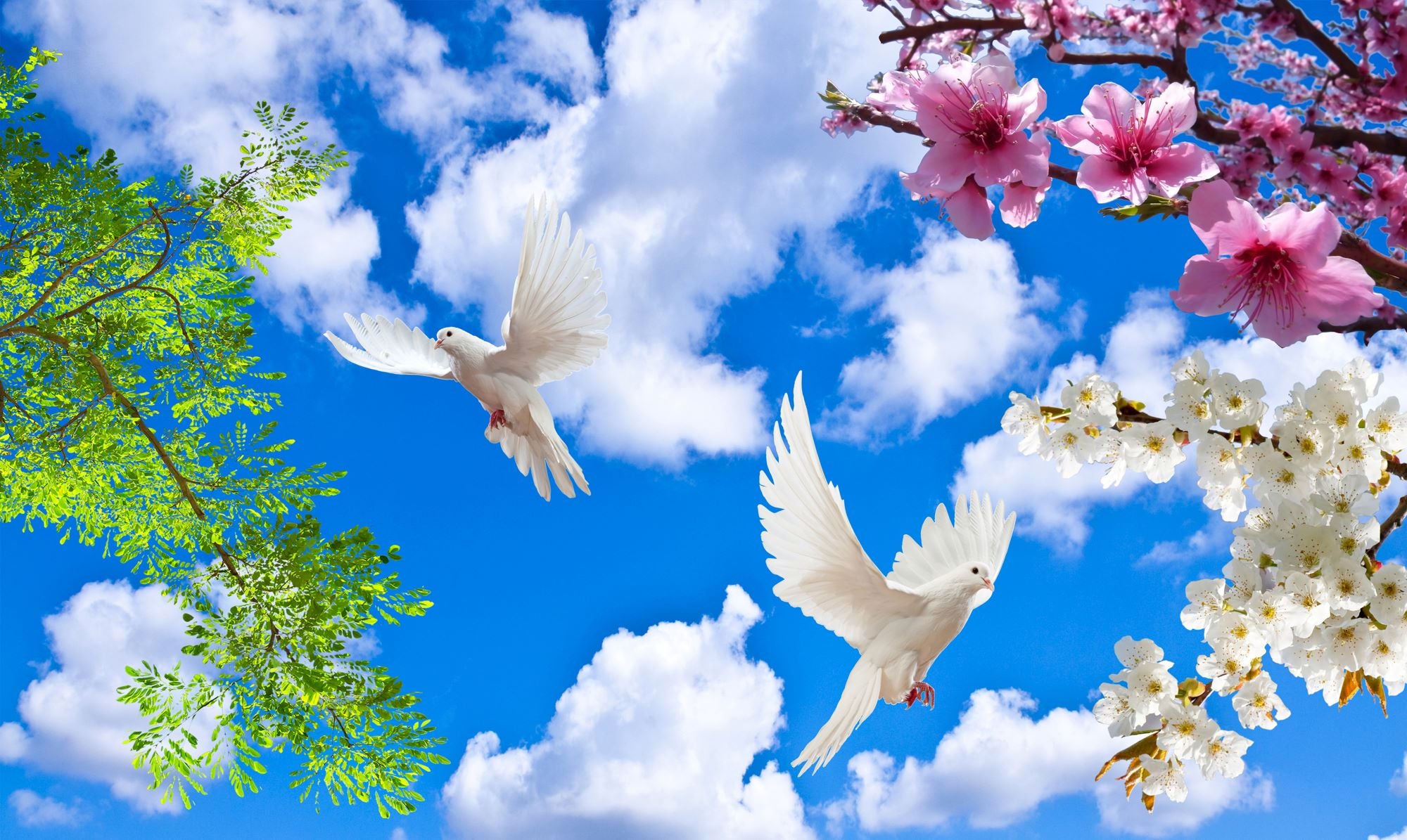 Peaceful Sky with Doves and Blossoms