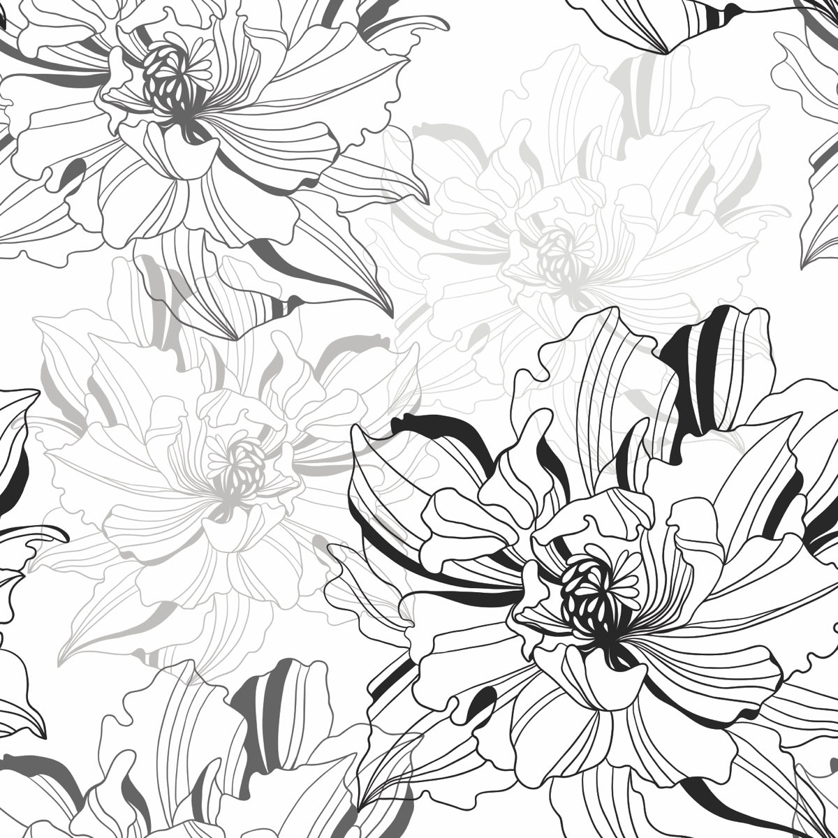 Bold Monochrome Bloom Outline Floral Pattern