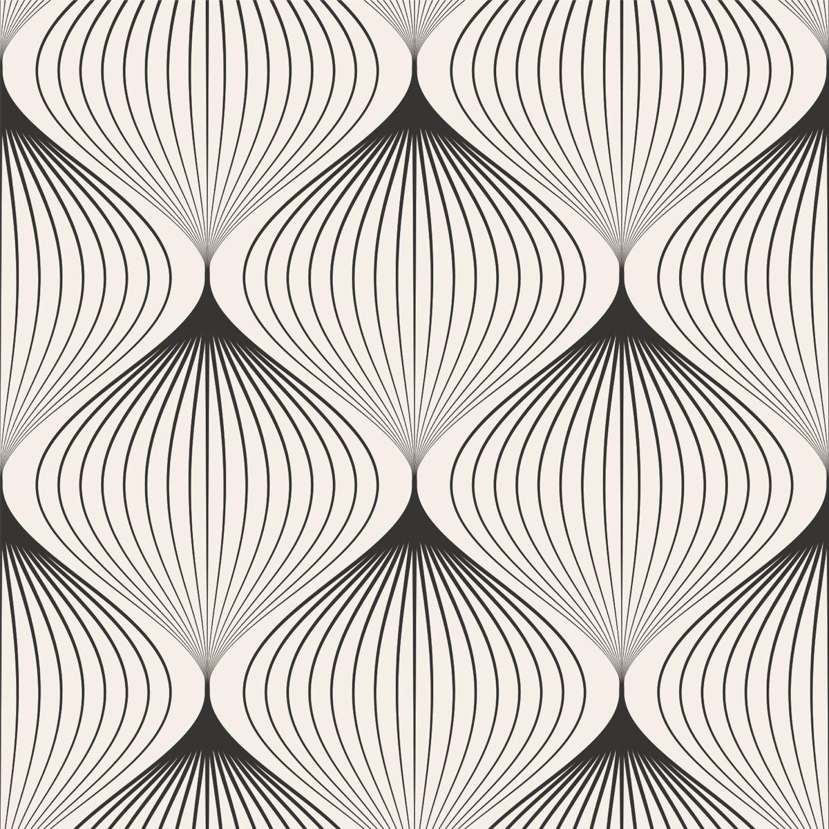 Elegant Black & White Geometric Line Art Design