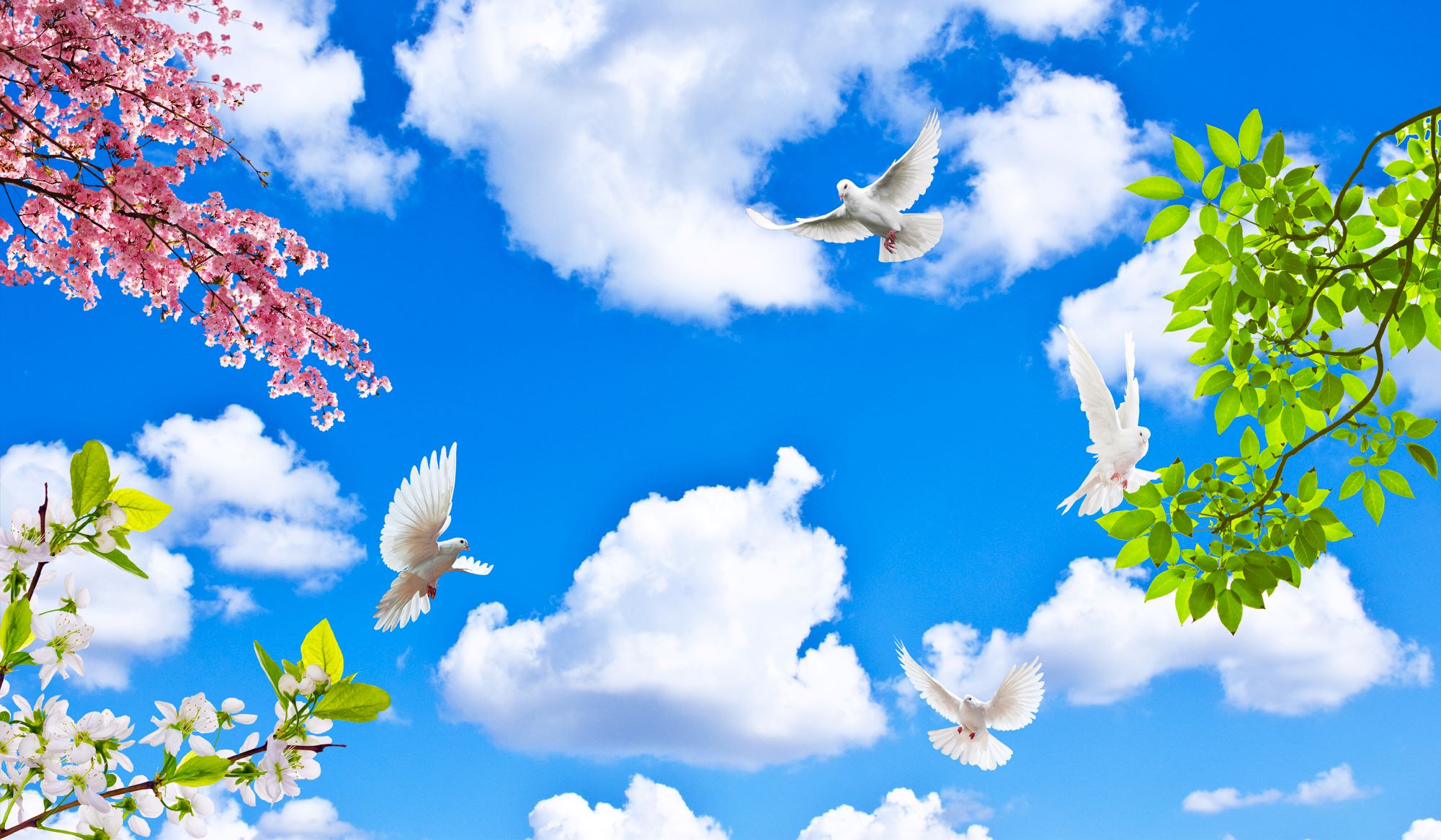 Peaceful Doves in Blossoming Sky