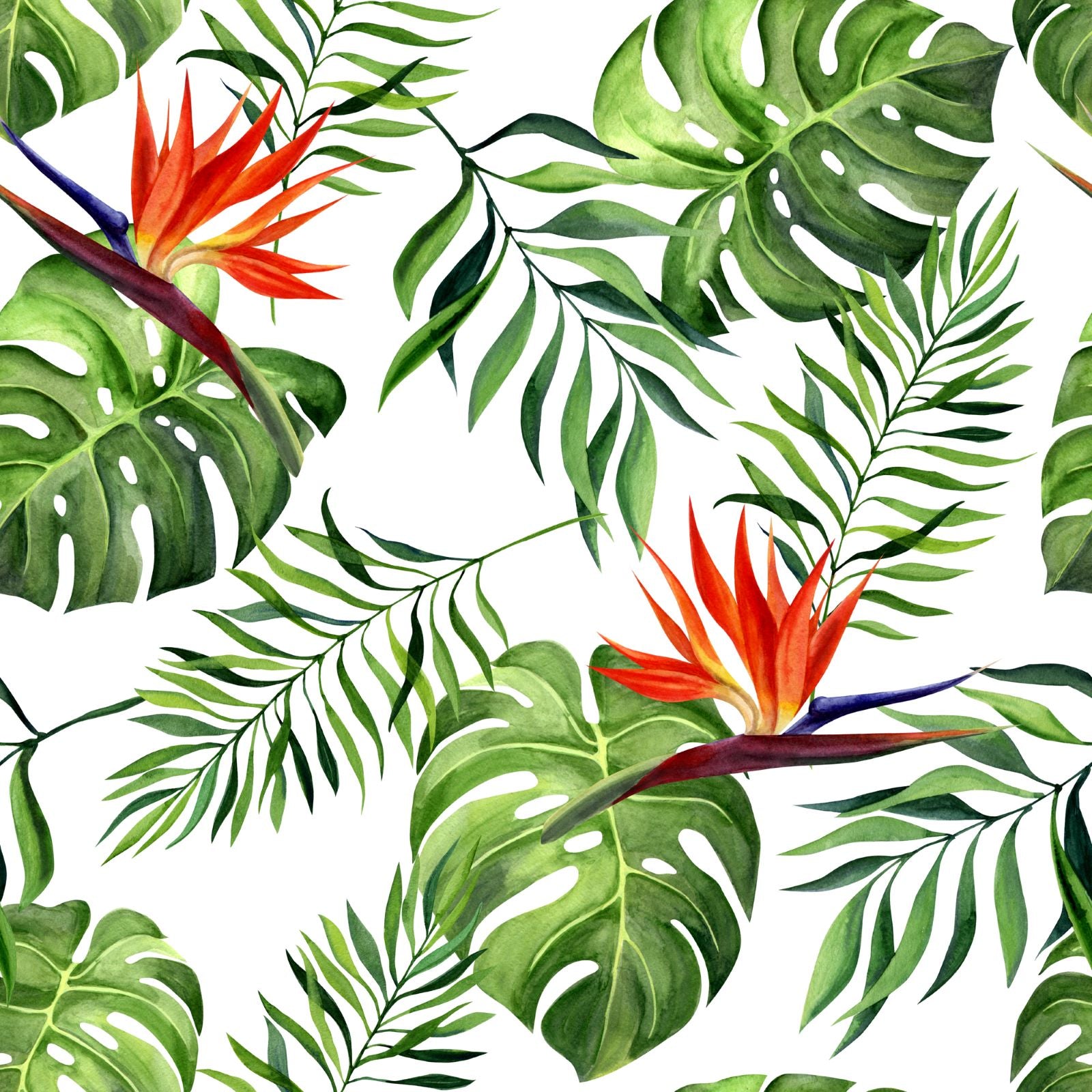 Tropical Leaves and Exotic Flowers