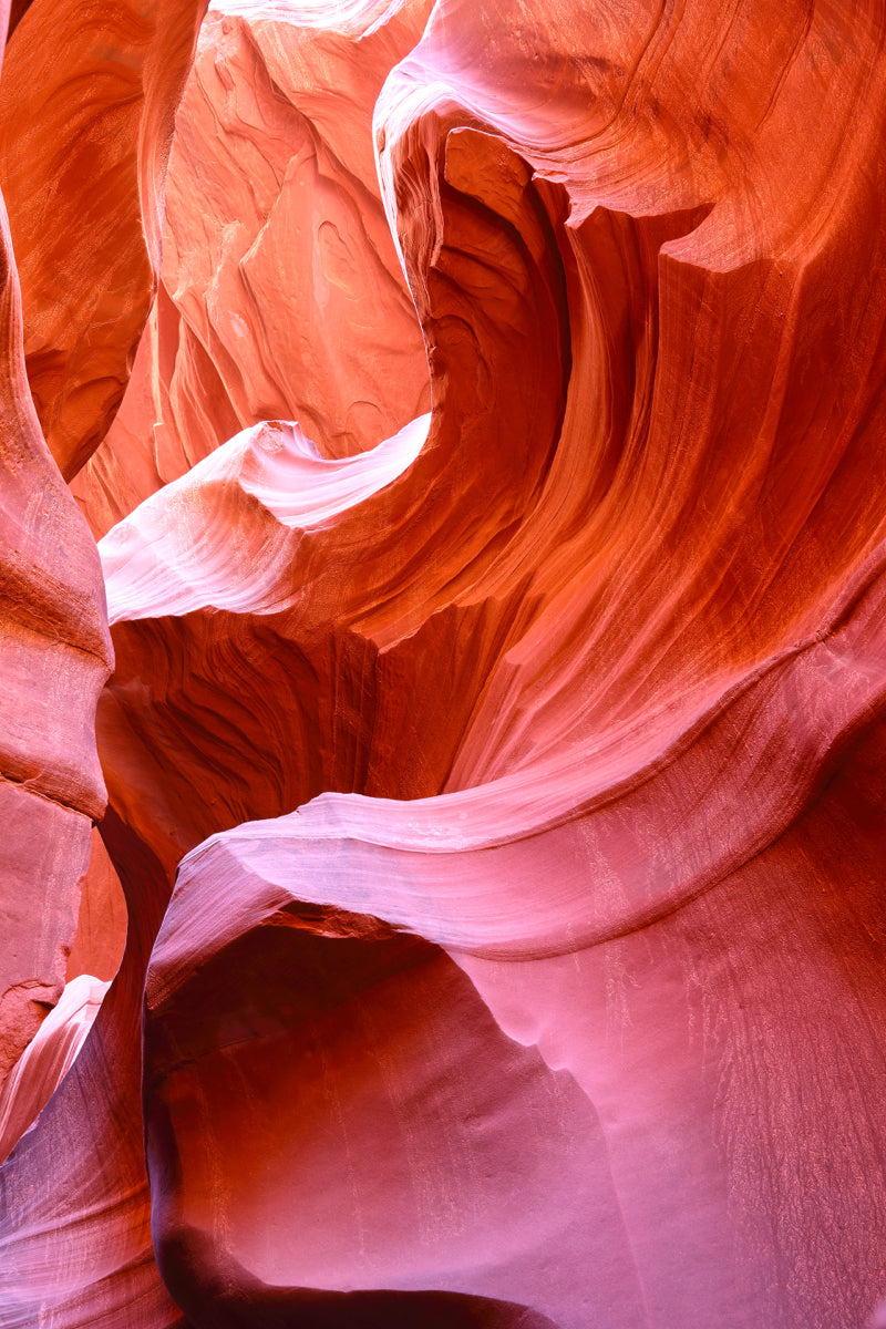 Canyon Flow Texture in Desert Rose Tones