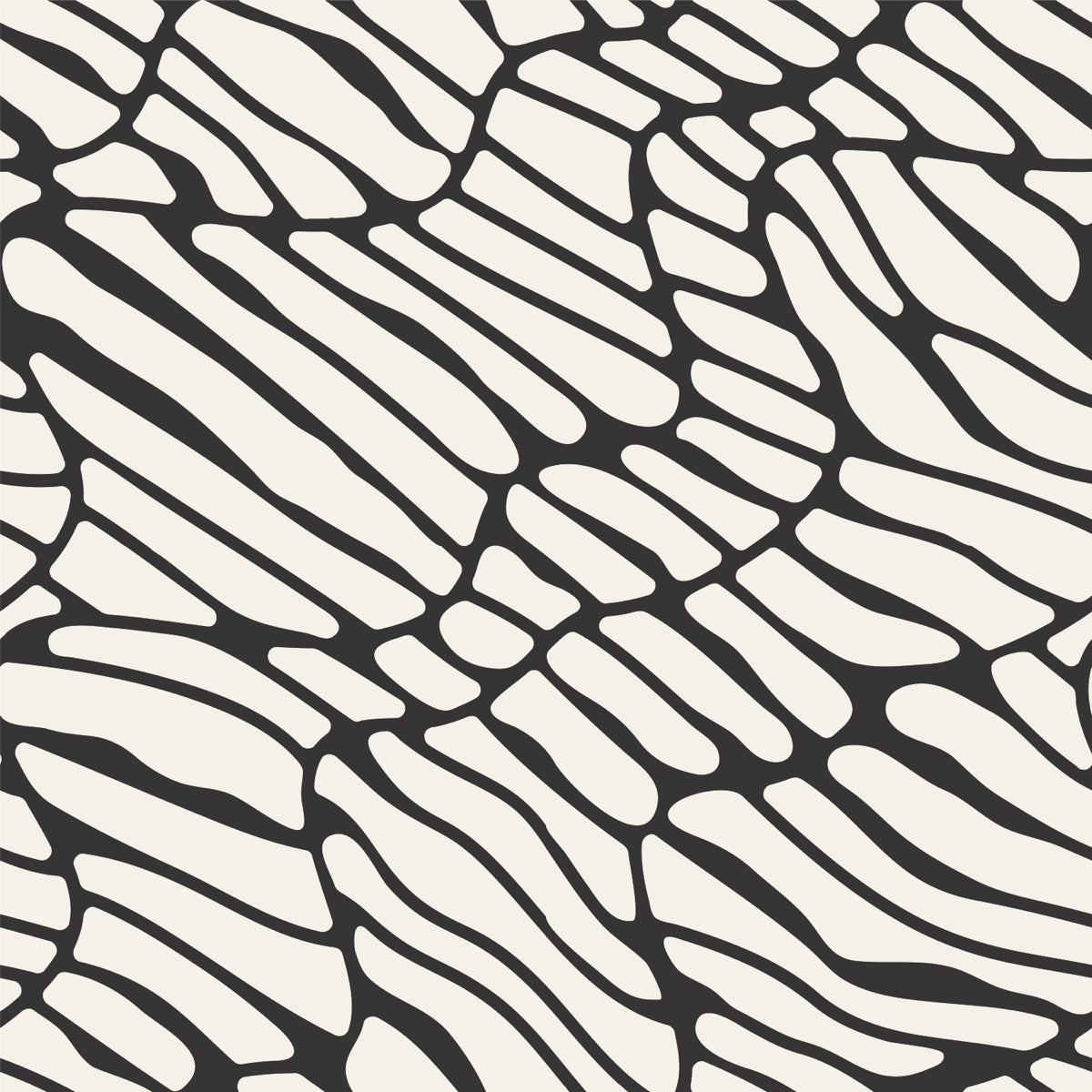 Abstract Organic Zebra Pattern in Black & White