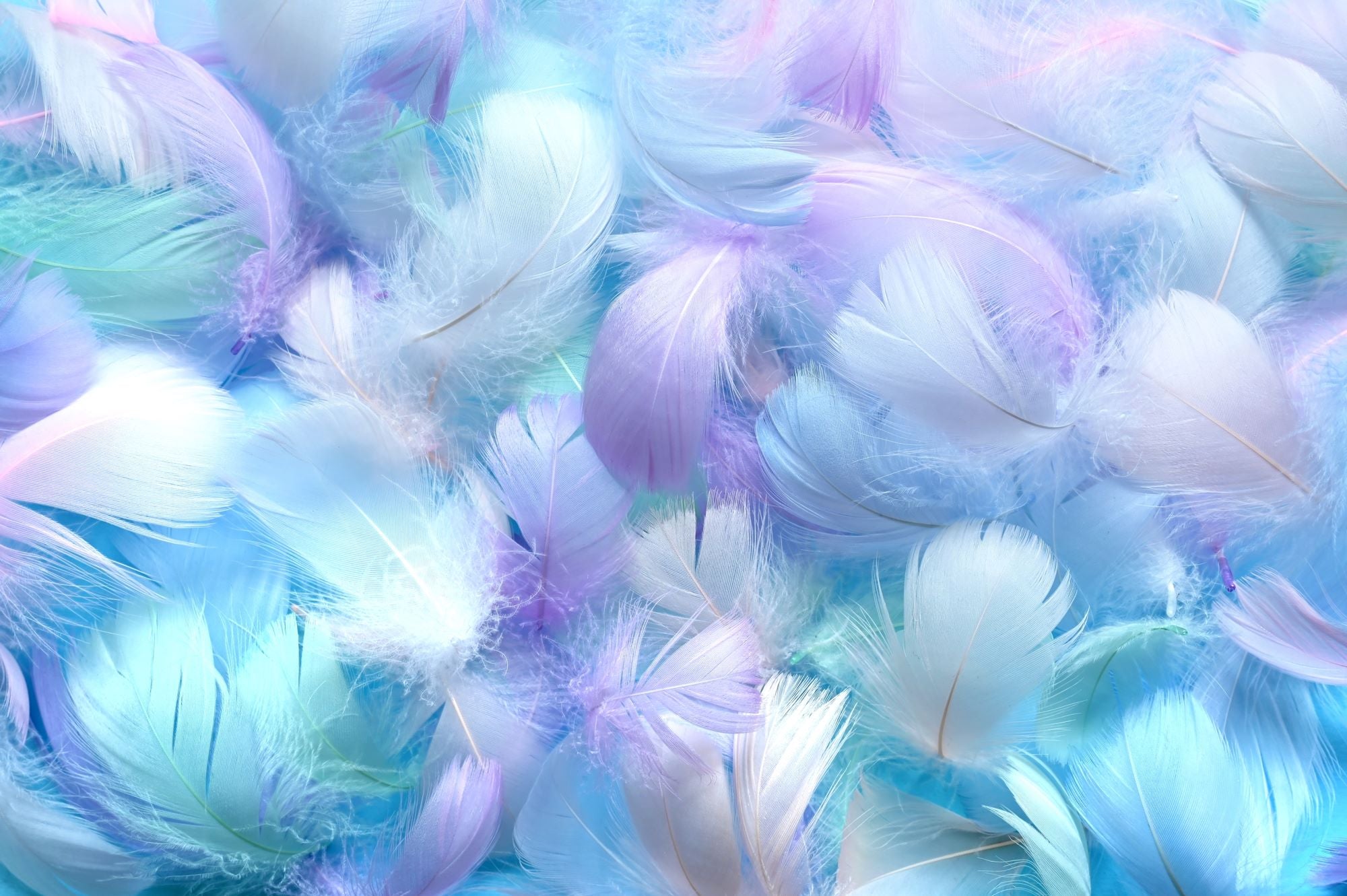 Soft Pastel Dreamy Feather Mix