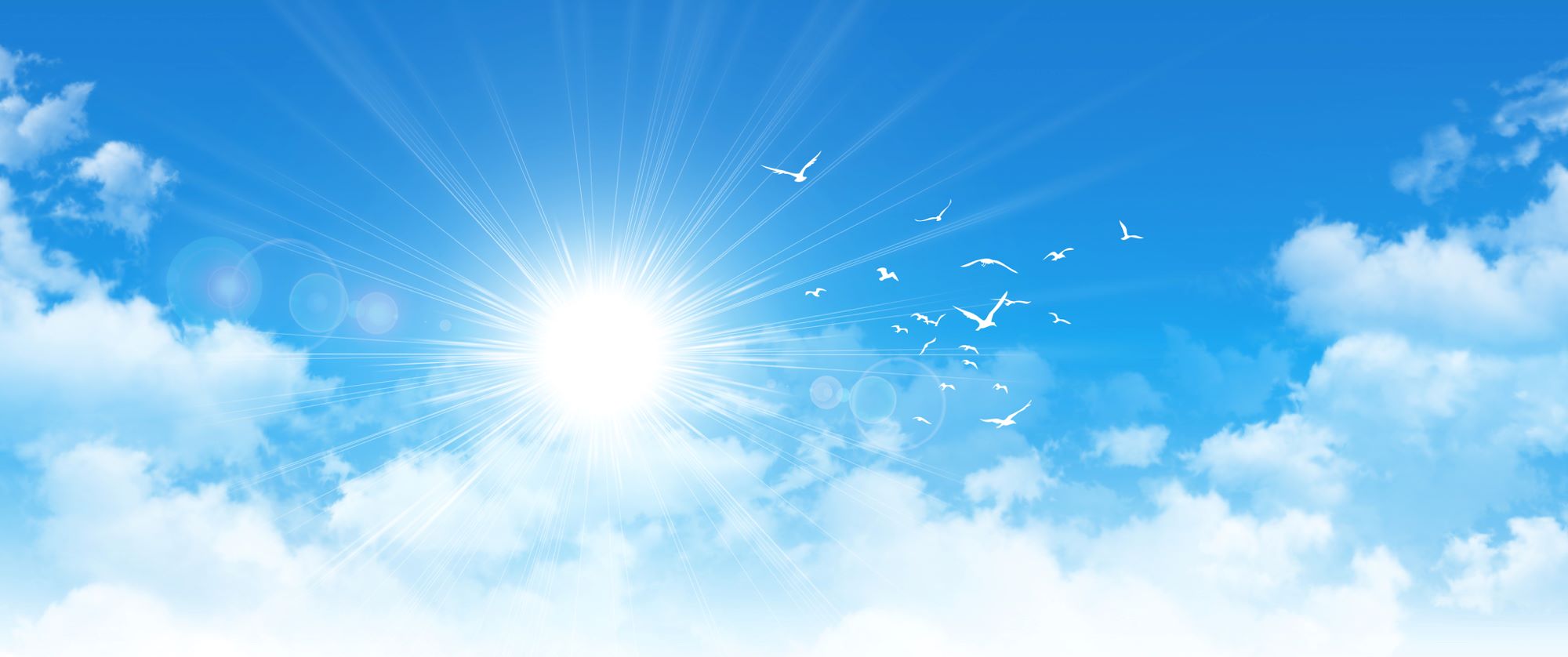 Bright Sun and Flying Birds