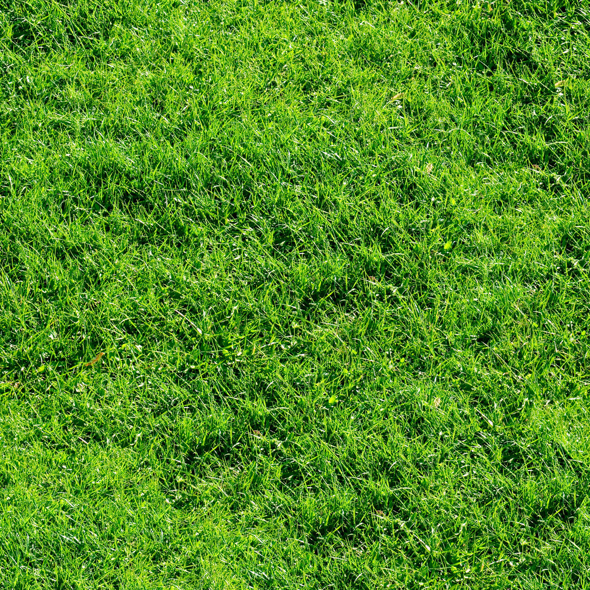 Natural Green Grass Lawn Texture Background