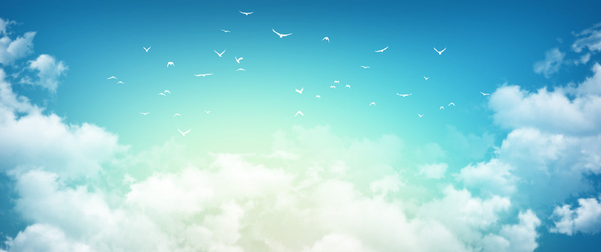 Sky Serenity – Open Clouds & Birds