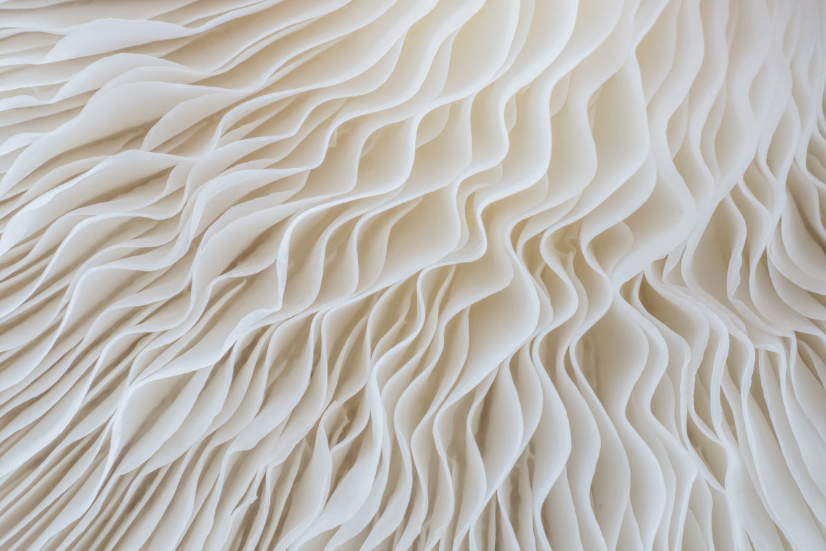 Wavy Cream Abstract Texture for Premium Wall Decor