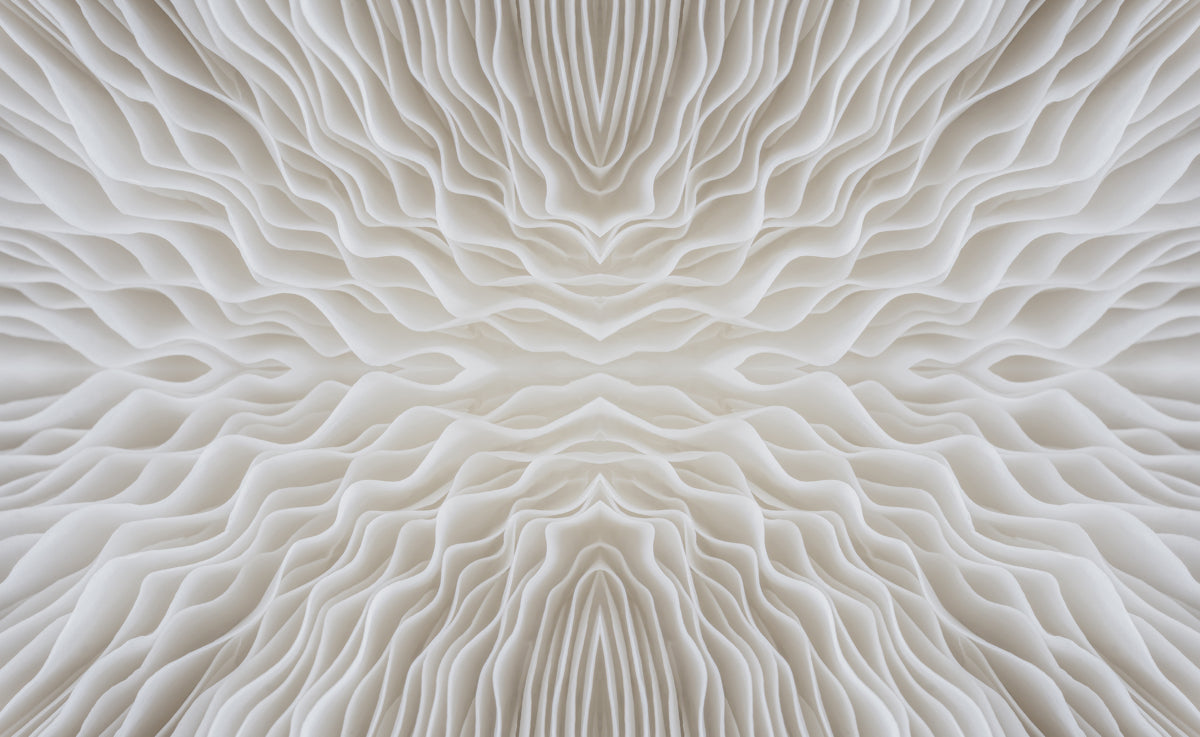 Elegant 3D Wavy White Texture Wall Design