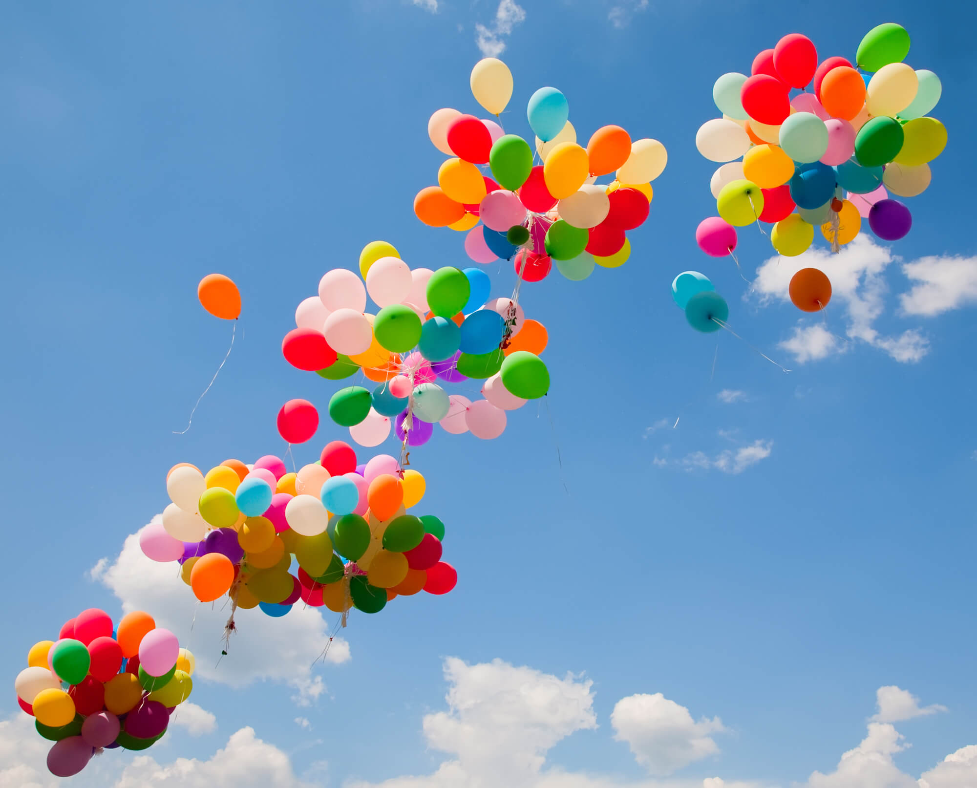 Sky of Celebration