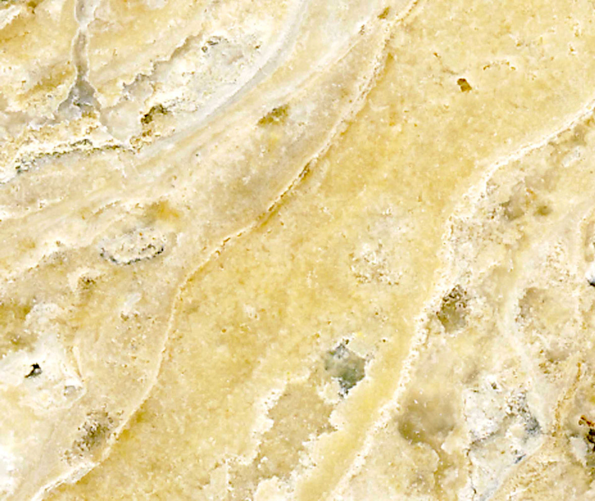 Ivory Travertine Stone Texture Print Design