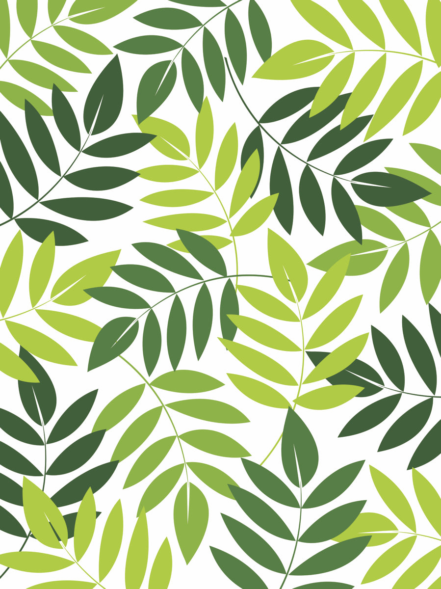 Tropical Green Leaf Pattern on White Background