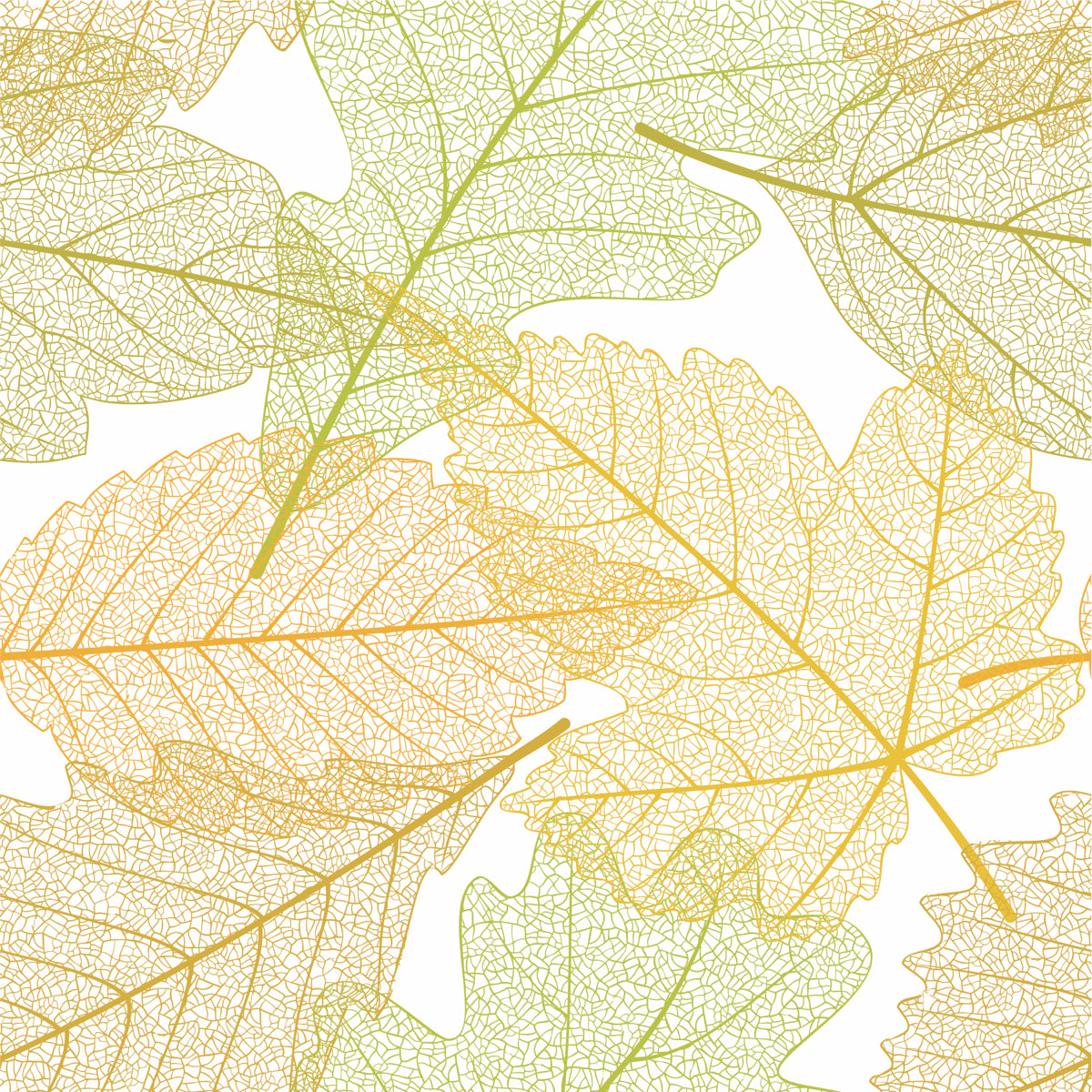Delicate Skeleton Leaf Pattern in Autumn Tones