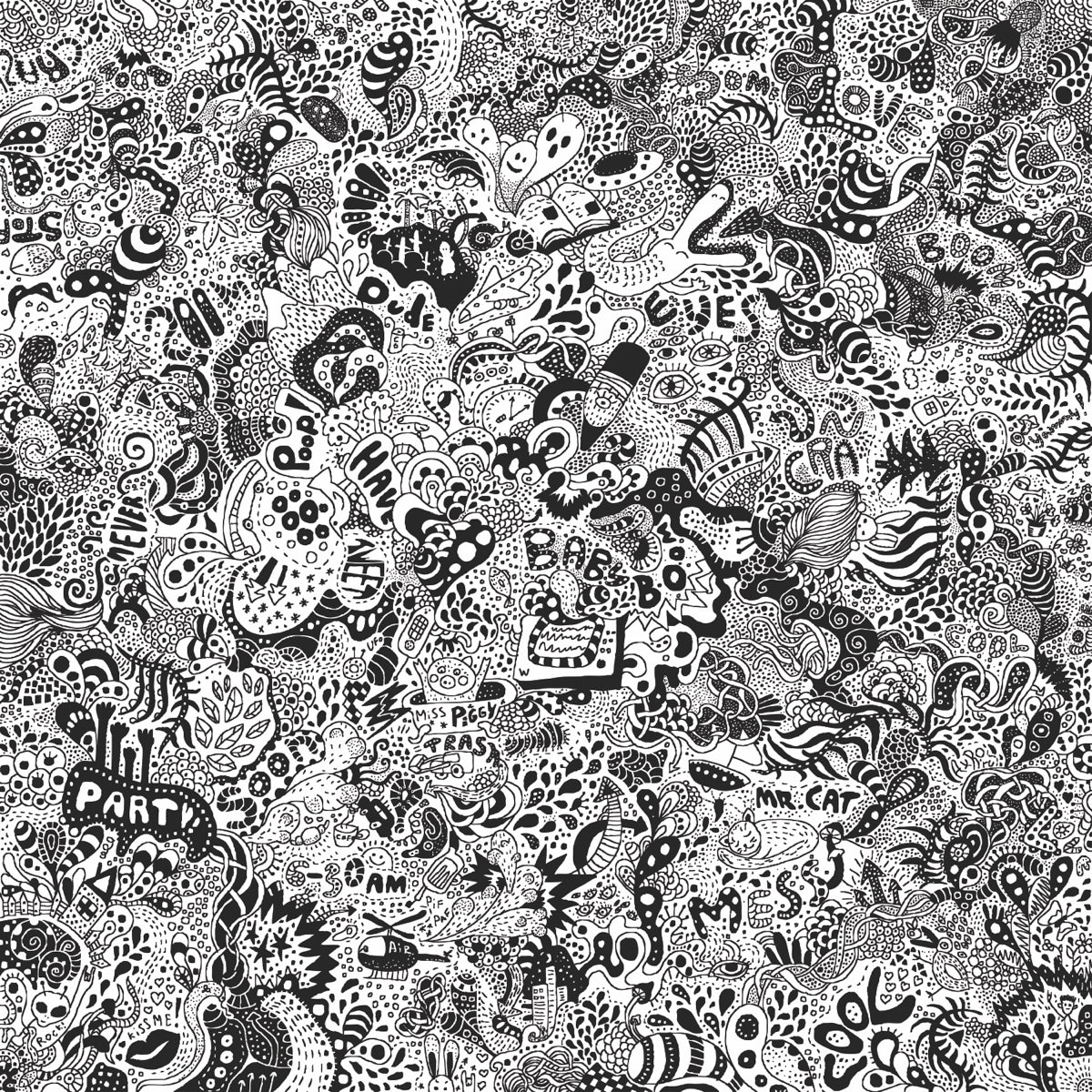 Chaotic Doodle Universe in Black & White