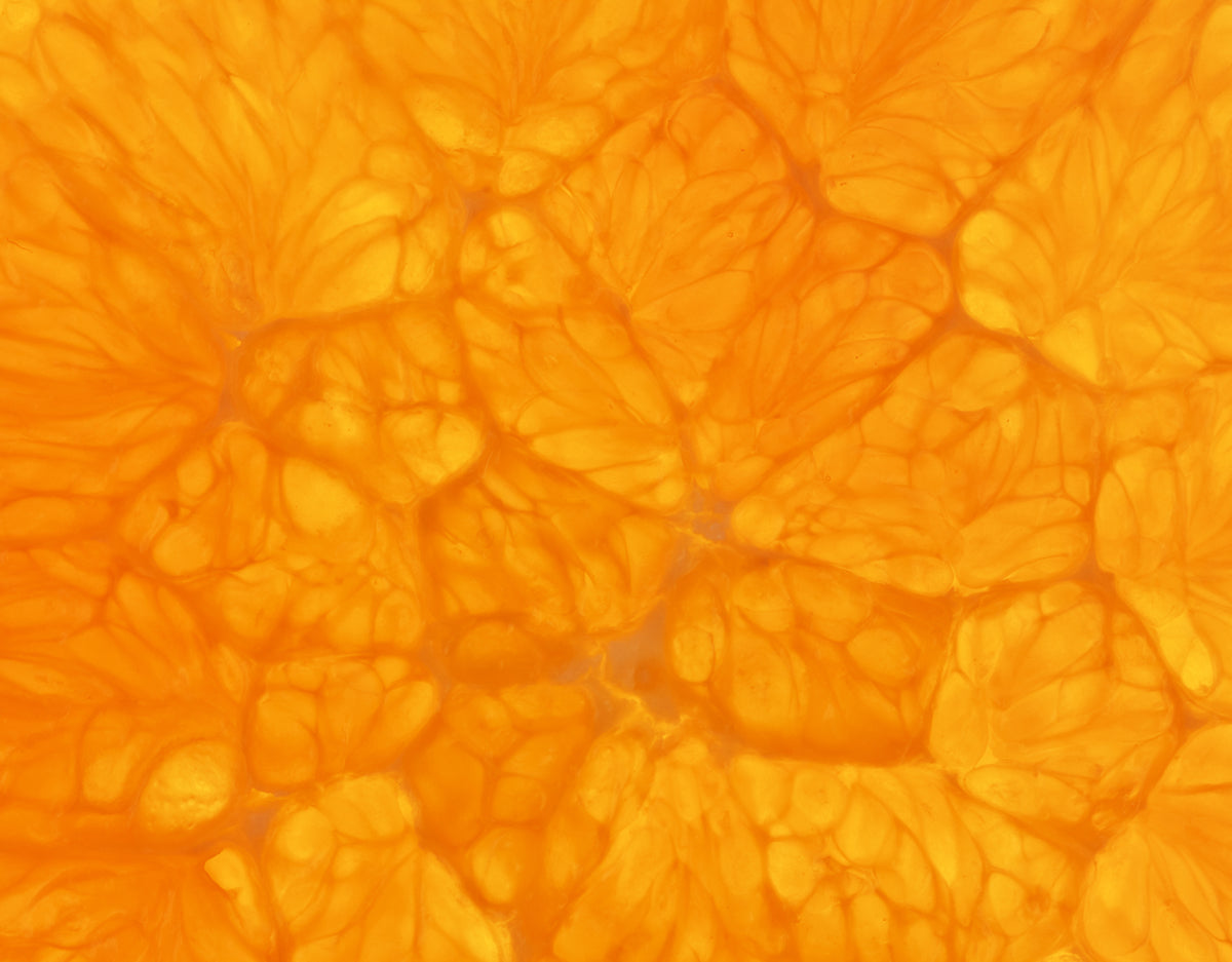 Citrus Burst Textured Background for Print & Decor