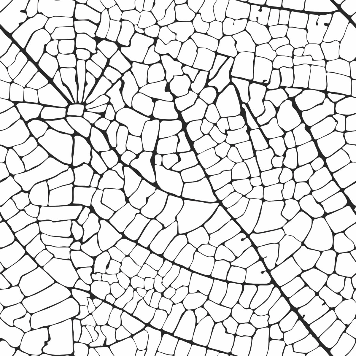Abstract Black & White Crackle Leaf Pattern Art