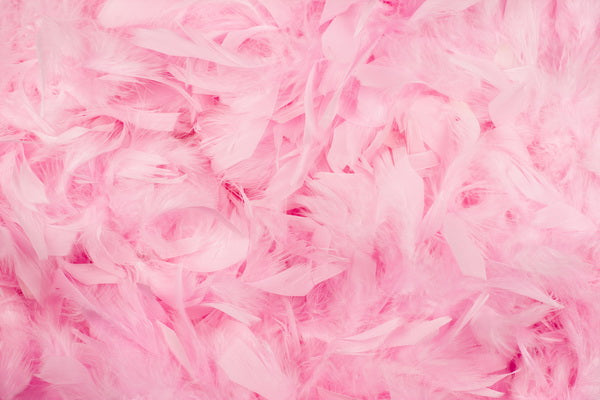Soft Pink Feathers in Fluffy Close-Up View