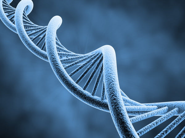 Close-Up View of Blue DNA Double Helix