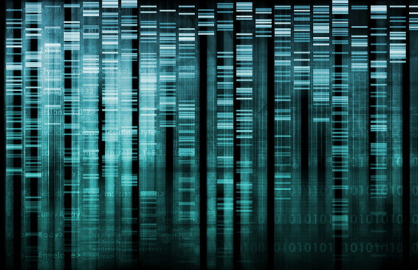 Digital Strands: An Abstract Representation of Data and Code