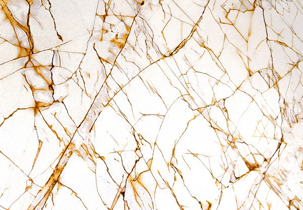 Golden Veins Cracking Through a Marble White Canvas