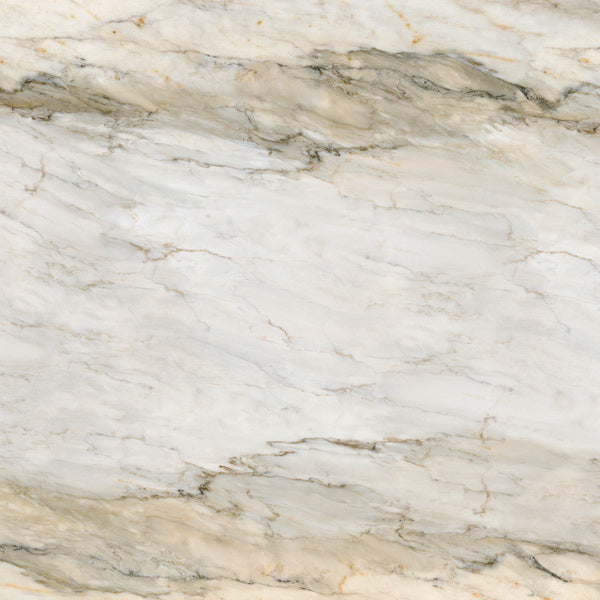 Timeless Elegance: Nature’s Art in Marble Veins