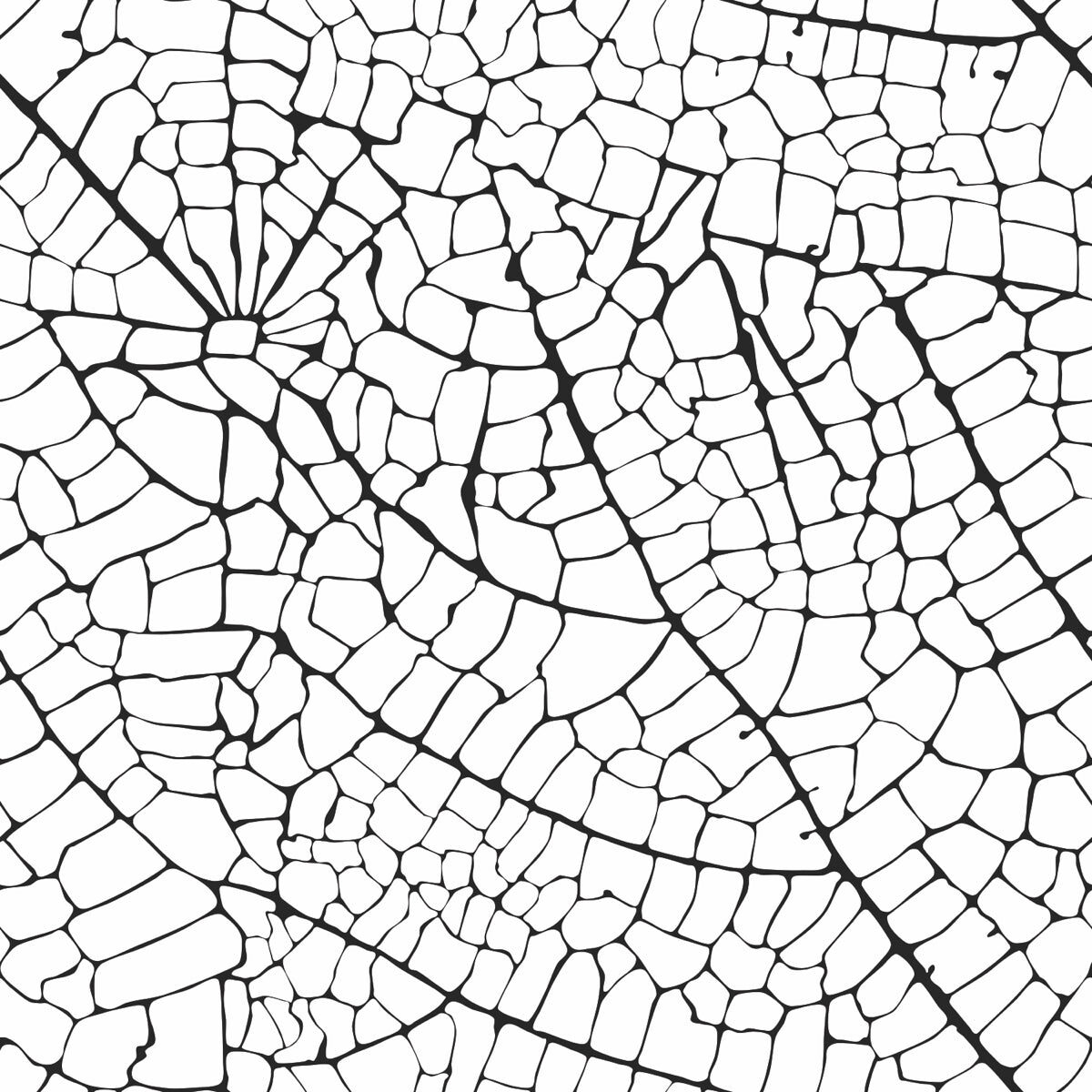 Abstract Black & White Crackle Leaf Pattern Art