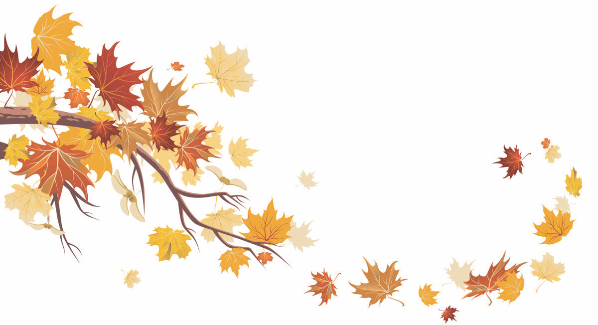 Autumn Maple Leaves Branch & Falling Pattern