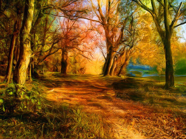 Autumn’s Golden Path