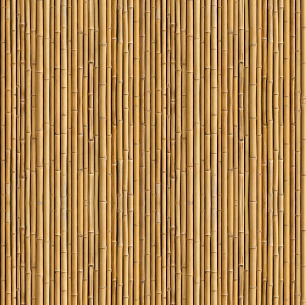 Bamboo Texture Pattern