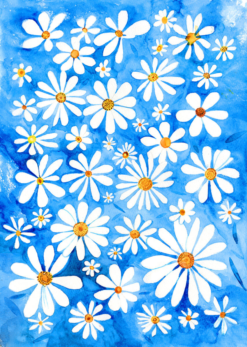 Blue Daisy Blossom Watercolor Wall Art Print