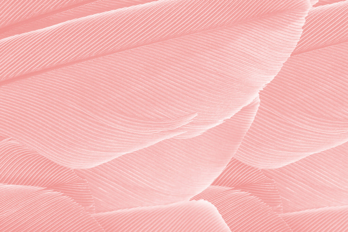 Blush Feather Texture Stretch Ceiling – Soft Pink Elegant Design