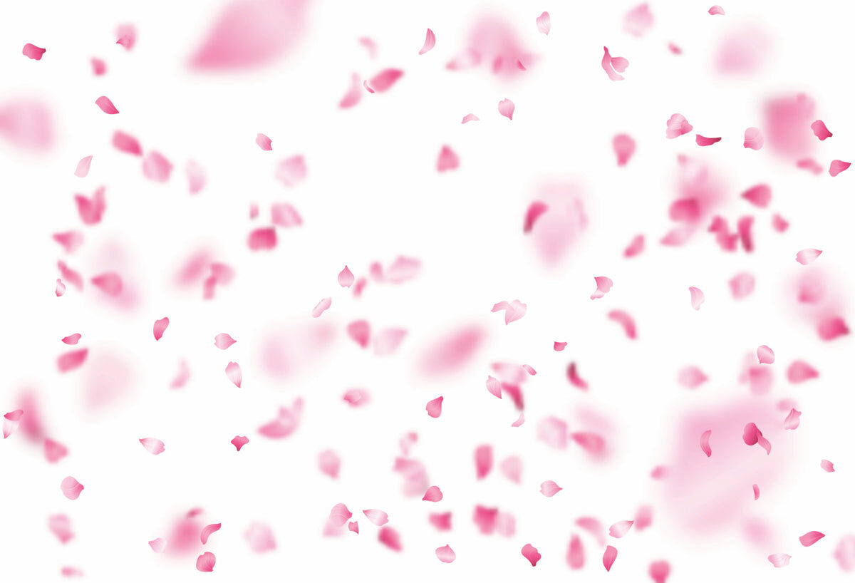 Blushing Petals Drift – Soft Floral Design