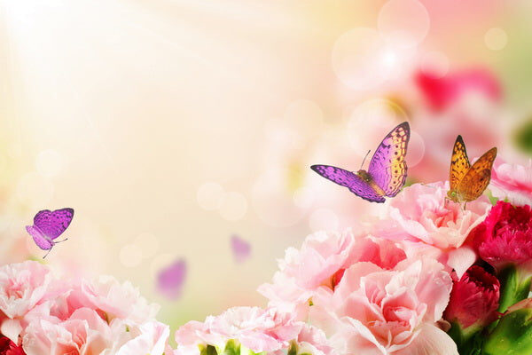 Butterflies Among Blossoms in the Spring Glow