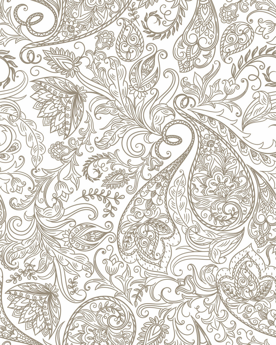 Classic Paisley Elegance – Timeless Ornamental Pattern