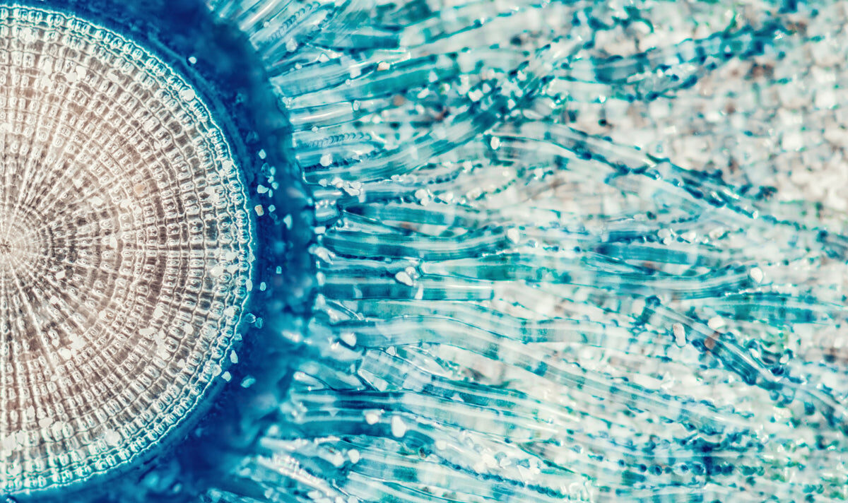 Crystal Wave Radiance – Abstract Aqua Texture