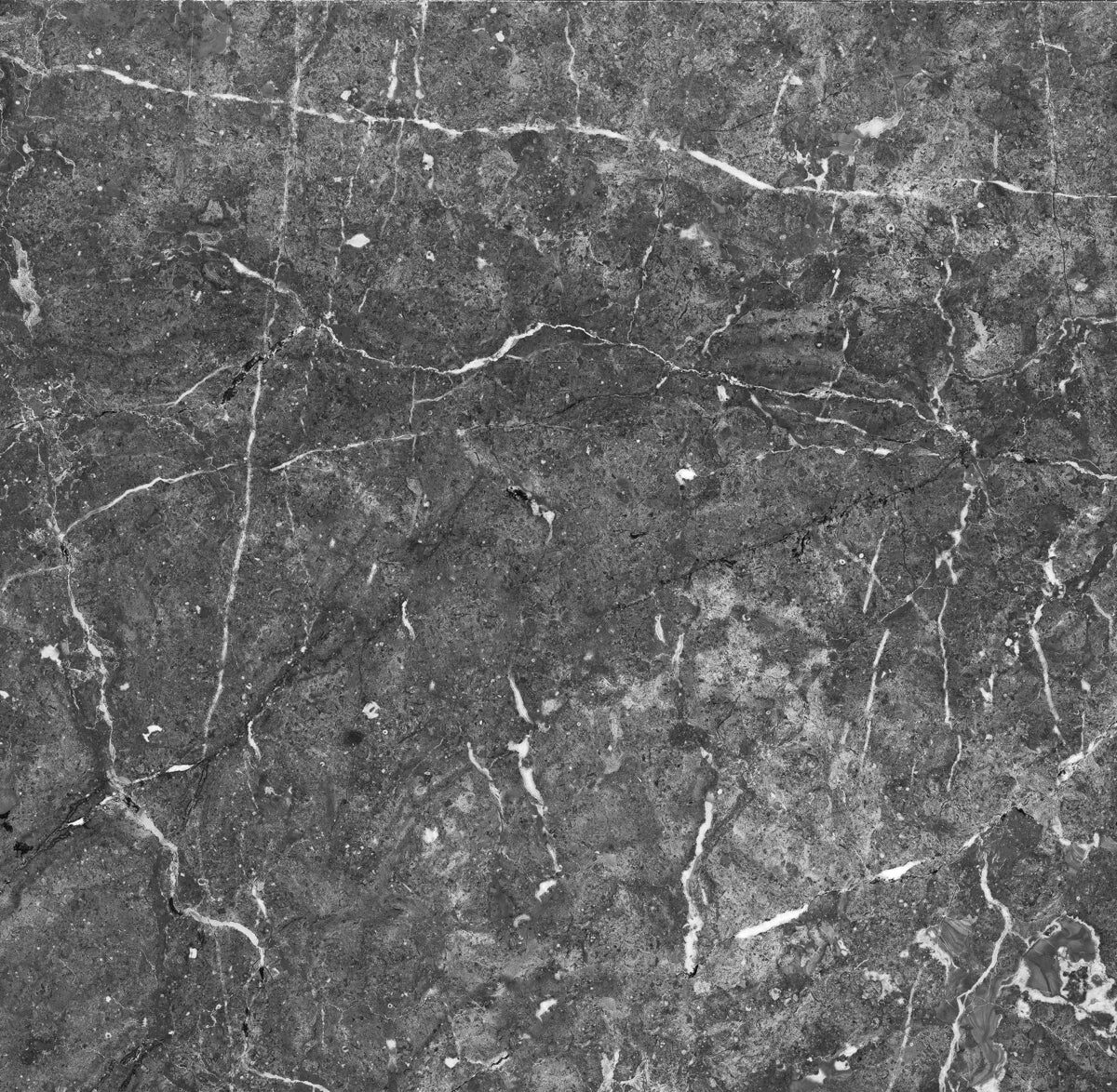 Dark Grey Marble Texture with Fine White Veins