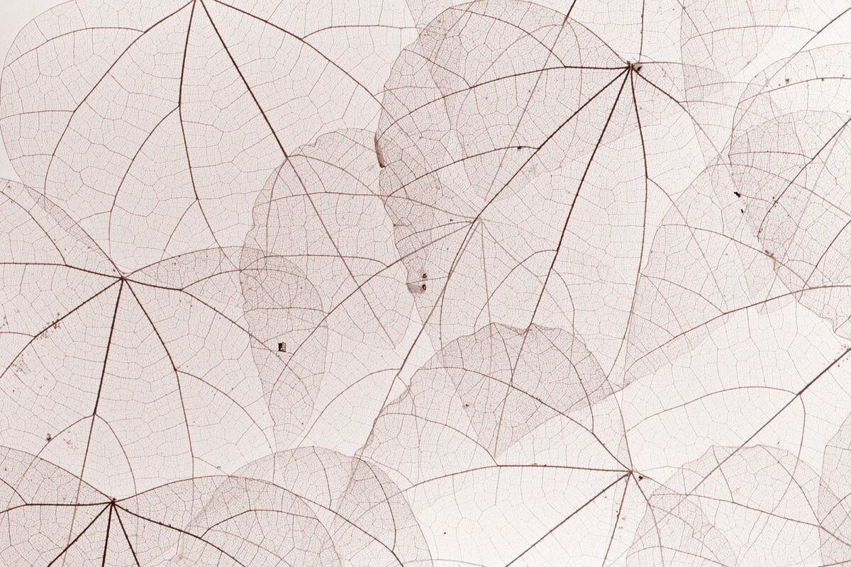 Delicate Skeleton Leaves Seamless Pattern Art