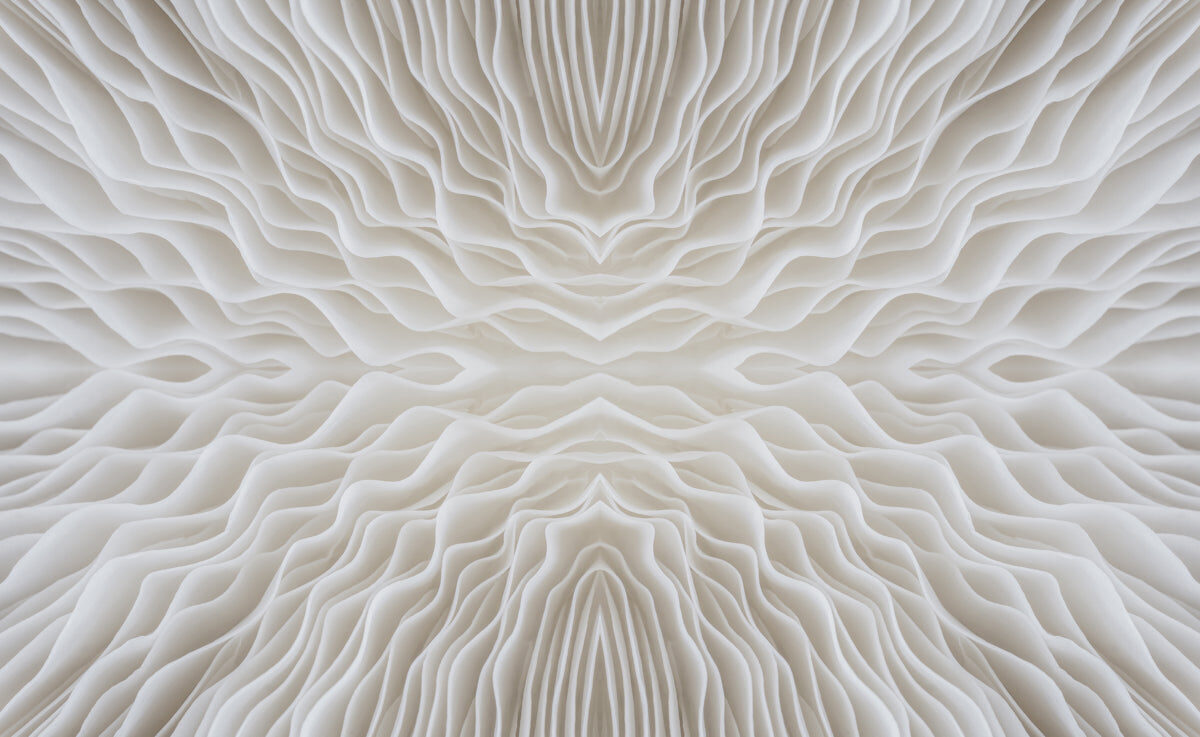 Elegant 3D Wavy White Texture Wall Design