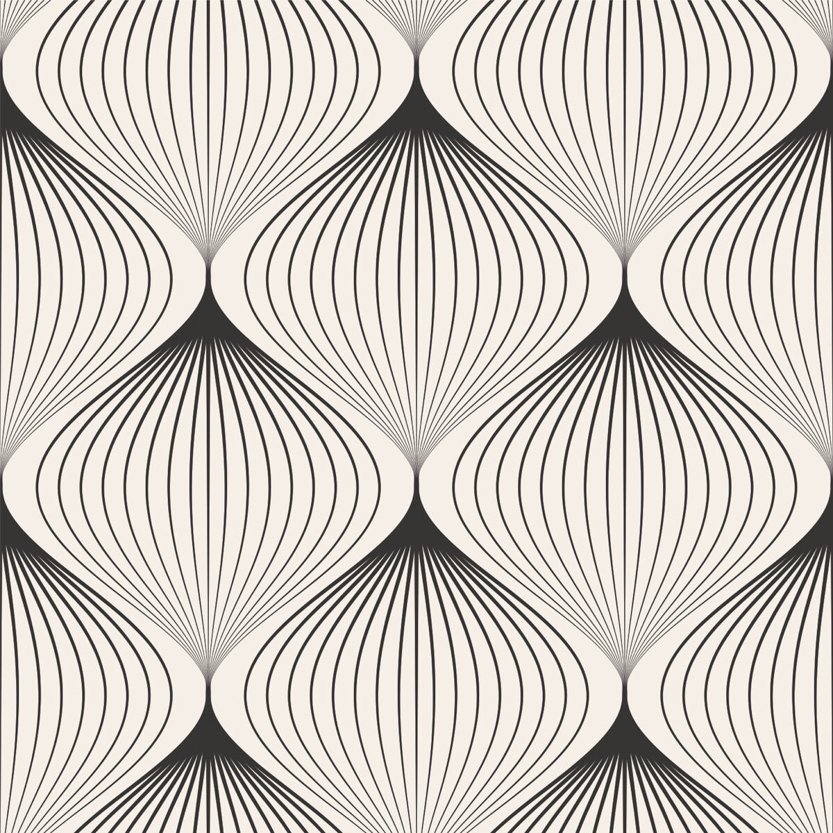 Elegant Black & White Geometric Line Art Design
