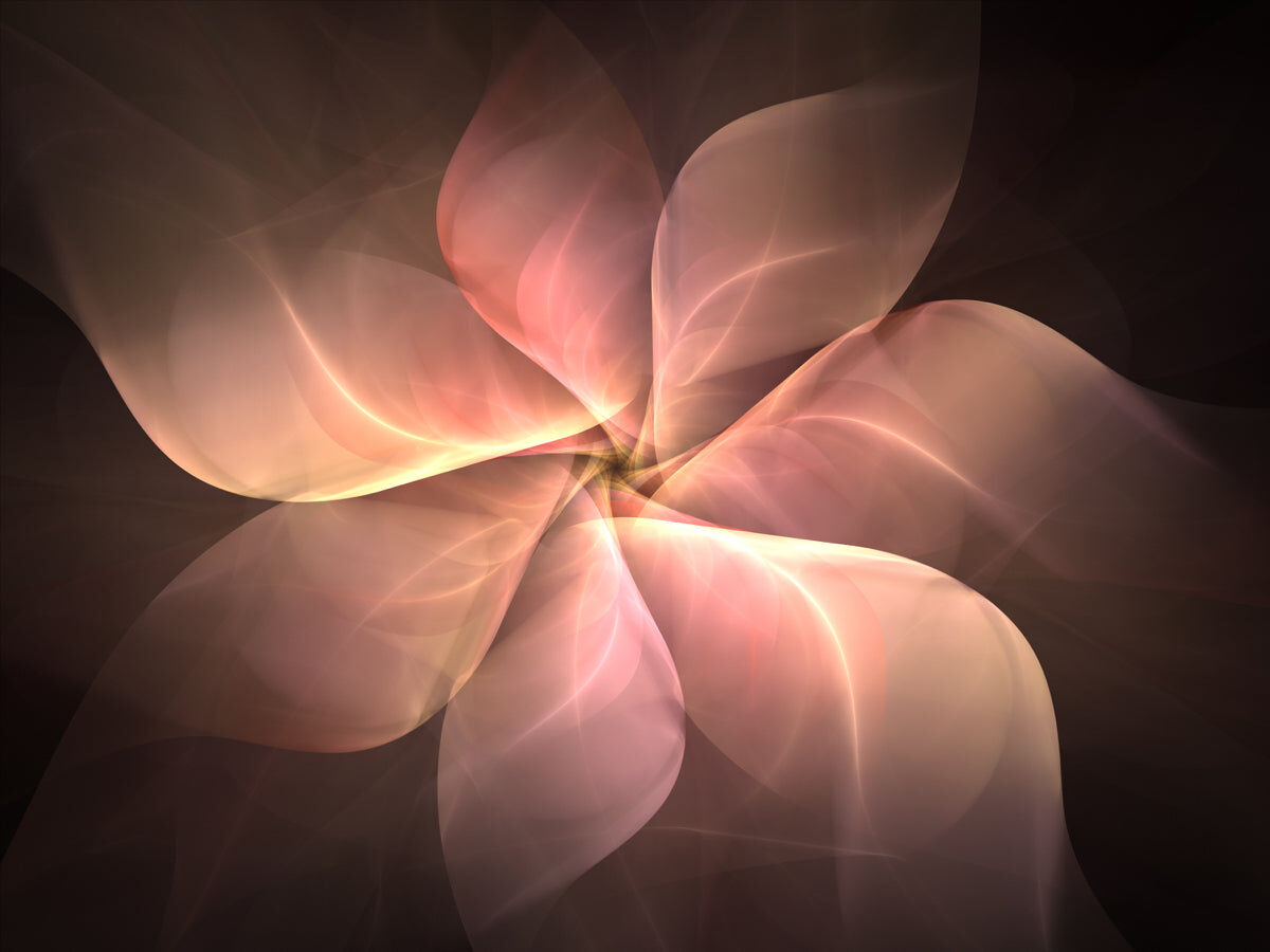 Elegant Petal Flow Abstract Art in Soft Glow Tones