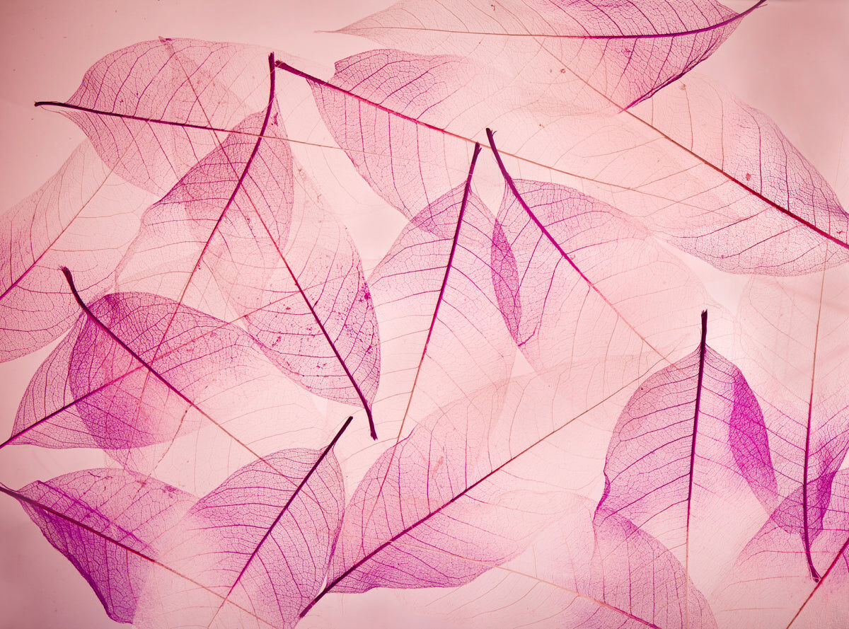 Elegant Pink Leaf Vein Stretch Ceiling Design