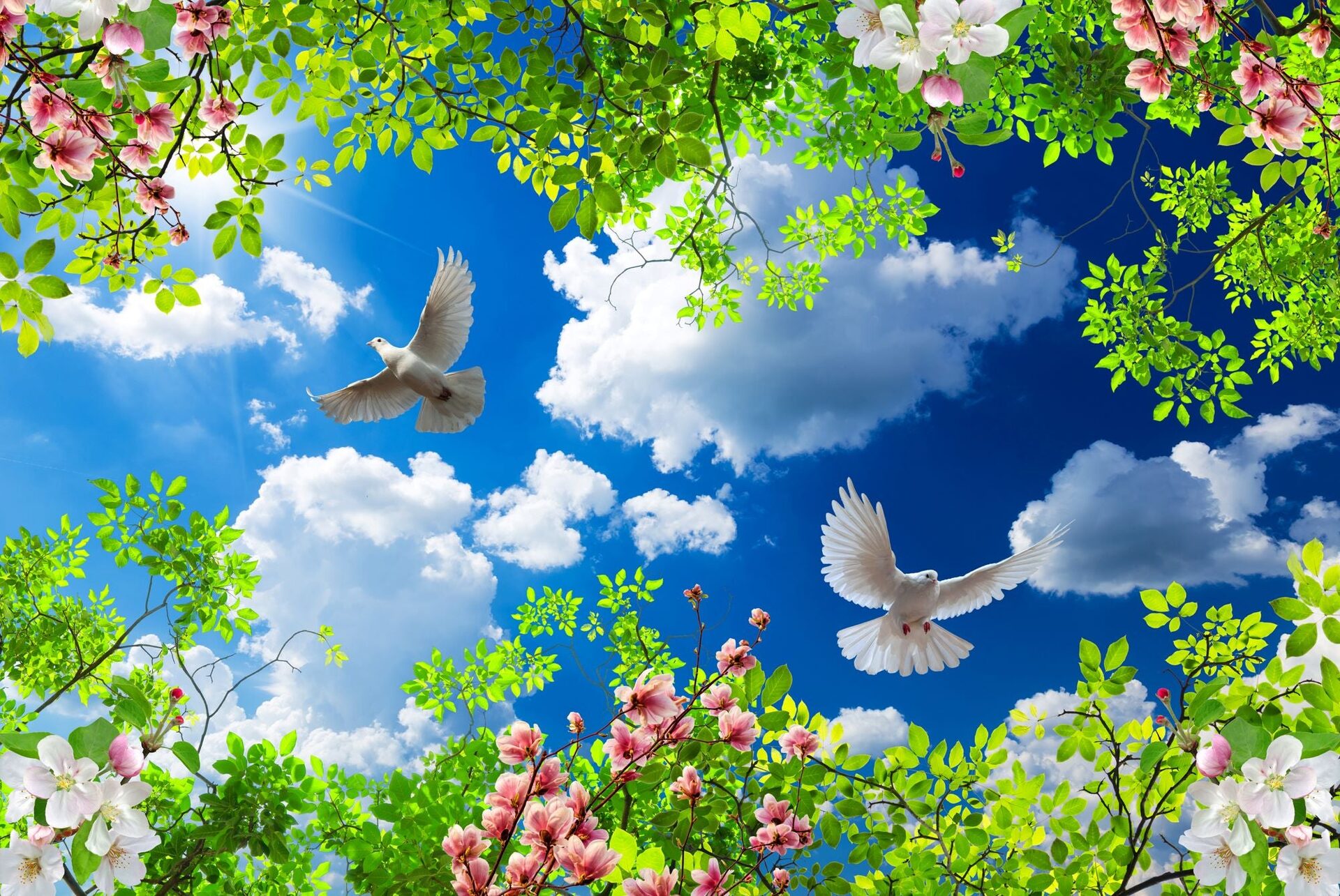 Flying Doves Amid Blooming Spring Sky