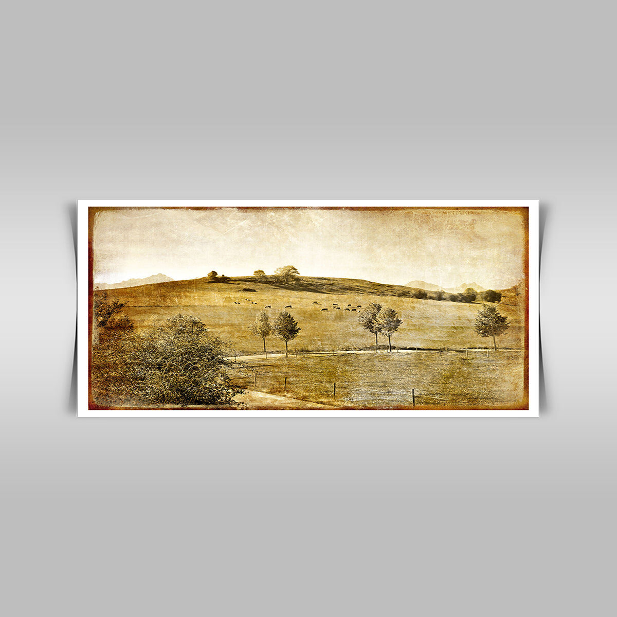 “Vintage Landscape: A Picture in Retro Style, Capturing Nostalgia.”