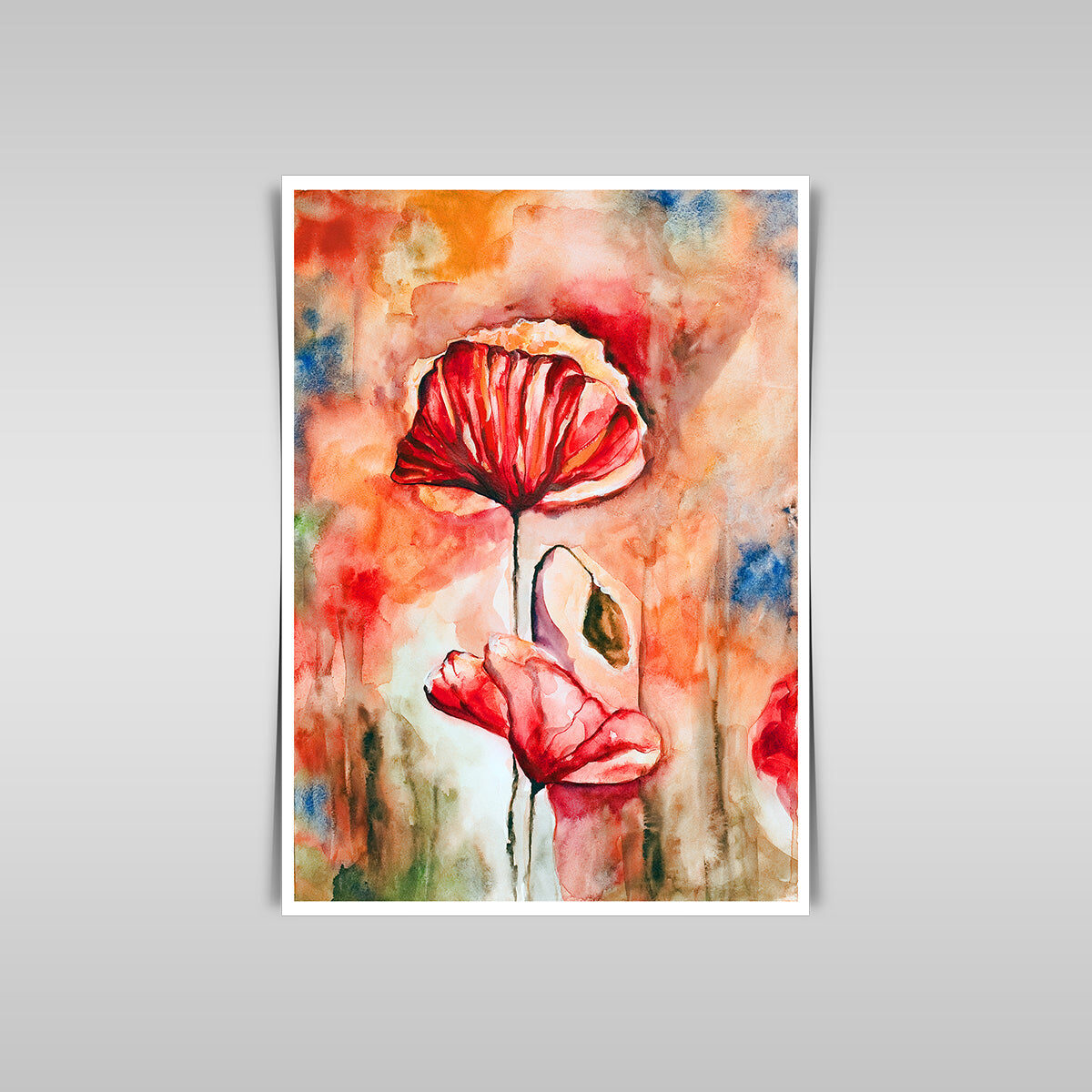 “Blossoming Poppies: A Watercolor Rendering of Poppy Flowers and Buds.”
