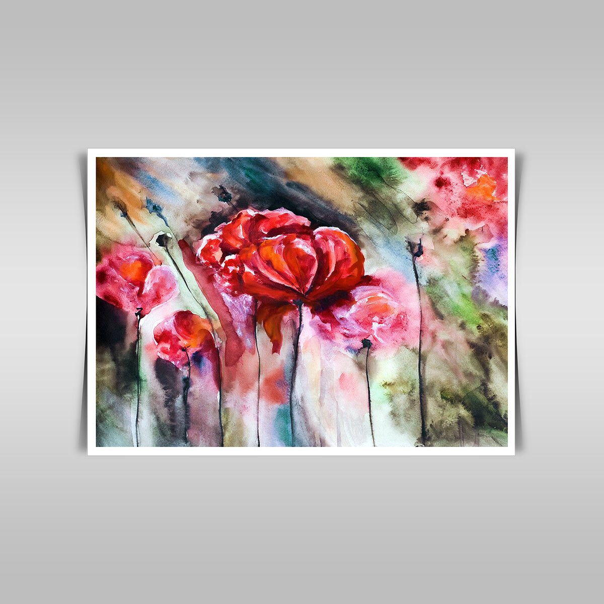 “Blossoming Poppies: A Watercolor Rendering of Poppy Flowers and Buds.”