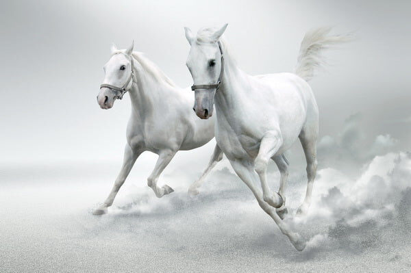 Galloping White Horses in Mist